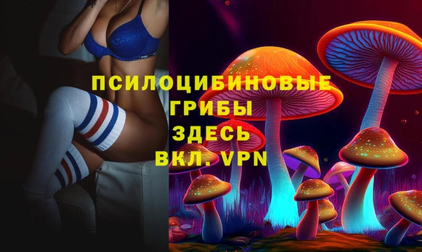 тгк Белокуриха